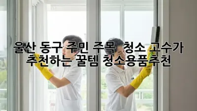 울산 동구 주민 주목! ✨ 청소 고수가 추천하는 꿀템 #청소용품추천